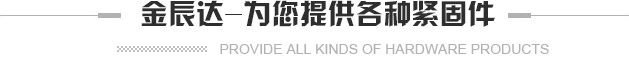 金辰达为您提供各种紧固件_不锈钢螺钉
